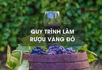 Quy Trình Làm Rượu Vang Đỏ